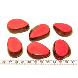 Tagua tranche rouge