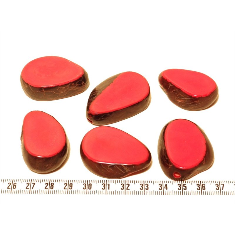 Tagua tranche rouge x1