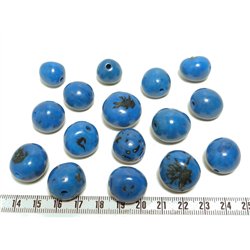 Paxi bleu
