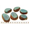 Tagua tranche bleu x1