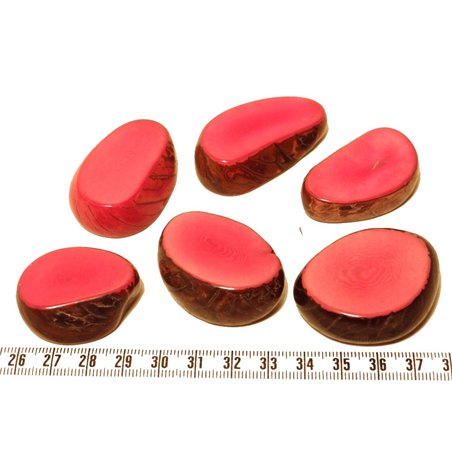 Tagua tranche rose