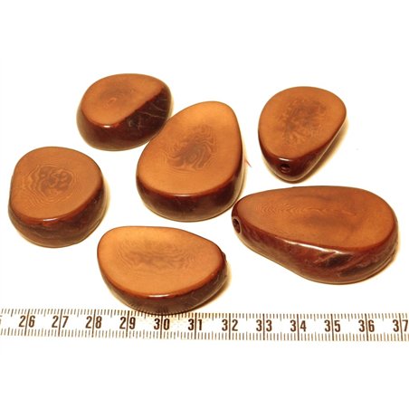 Tagua tranche marron x1