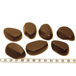 Tagua tranche noir