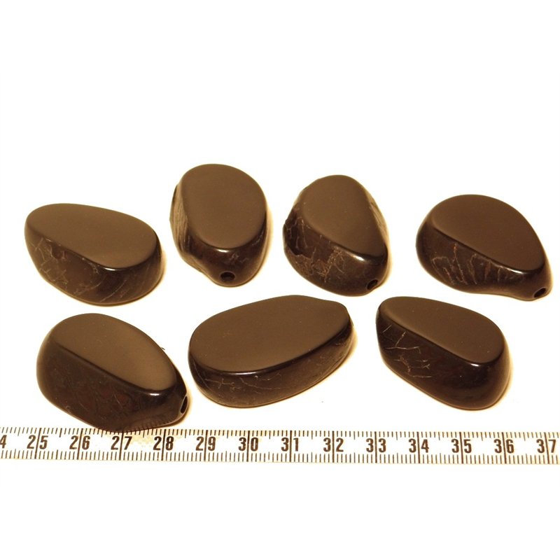 Tagua tranche noir x1