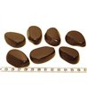 Tagua tranche noir x1