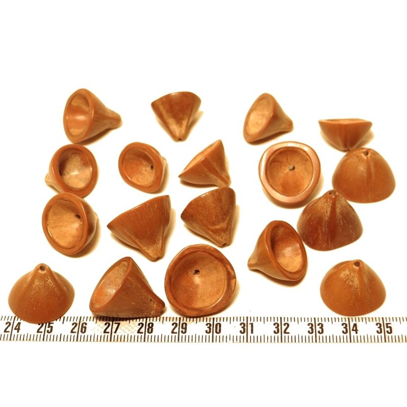 Palmier cone