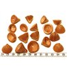 Palmier cone