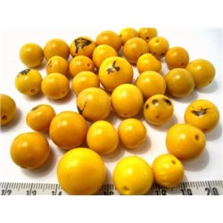 Paxi jaune