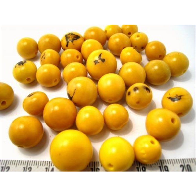 Paxi jaune