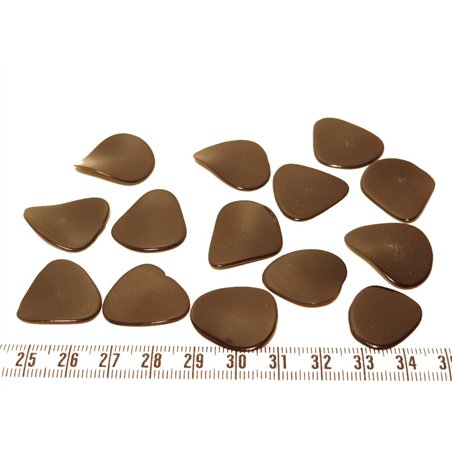 Tagua pétale  moyenne noir
