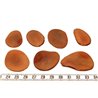 Tagua pétale grande marron