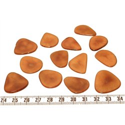 Tagua pétale  moyenne marron