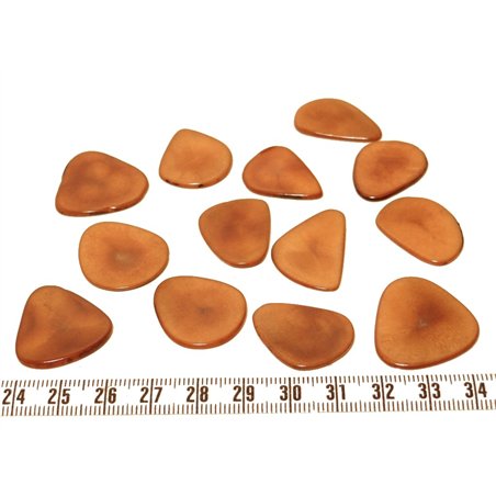 Tagua pétale  moyenne marron