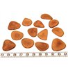 Tagua pétale  moyenne marron