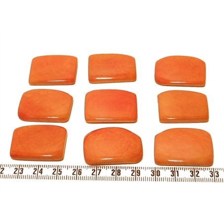 Tagua plaque orange
