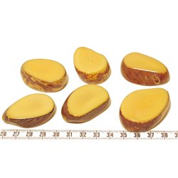 Tagua tranche jaune