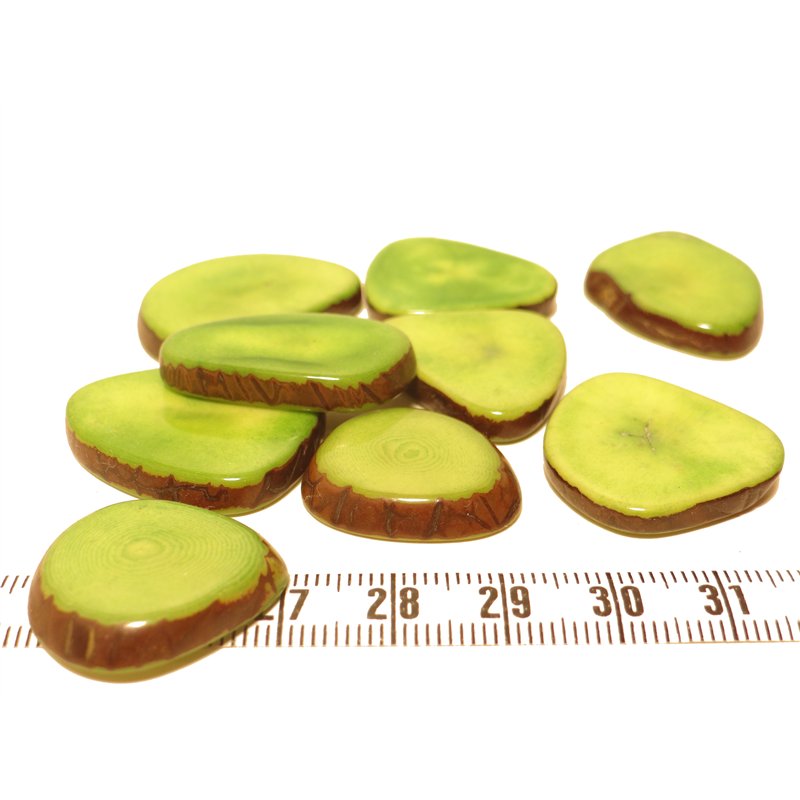 Tagua lame épaisse   petite vert