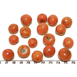 Paxi orange