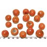 Paxi orange