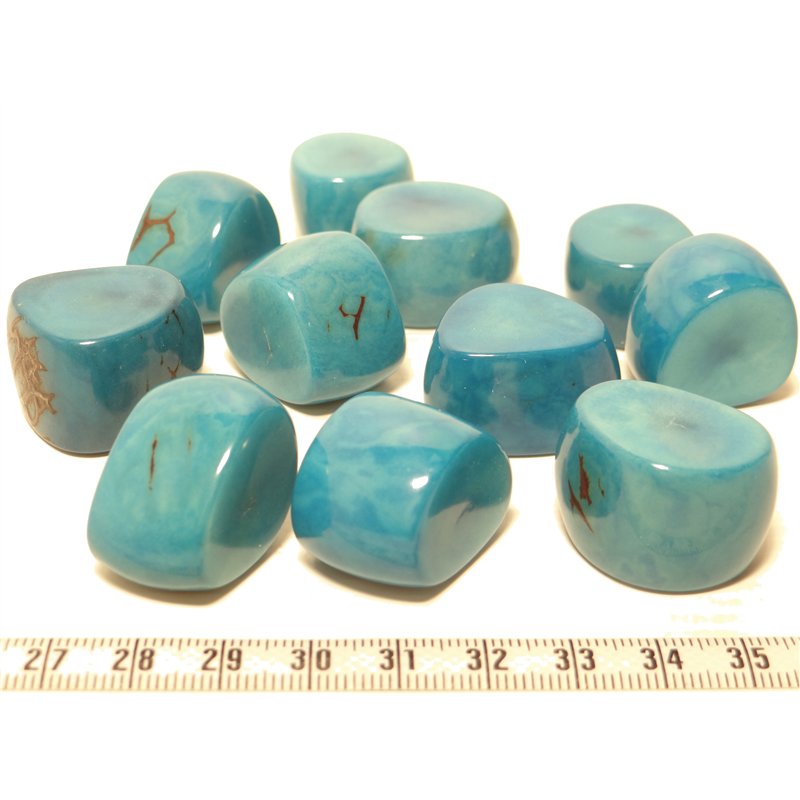 Tagua tronçon bleu