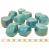 Tagua tronçon bleu