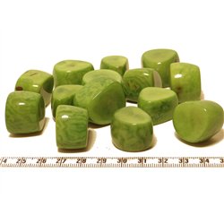 Tagua tronçon vert