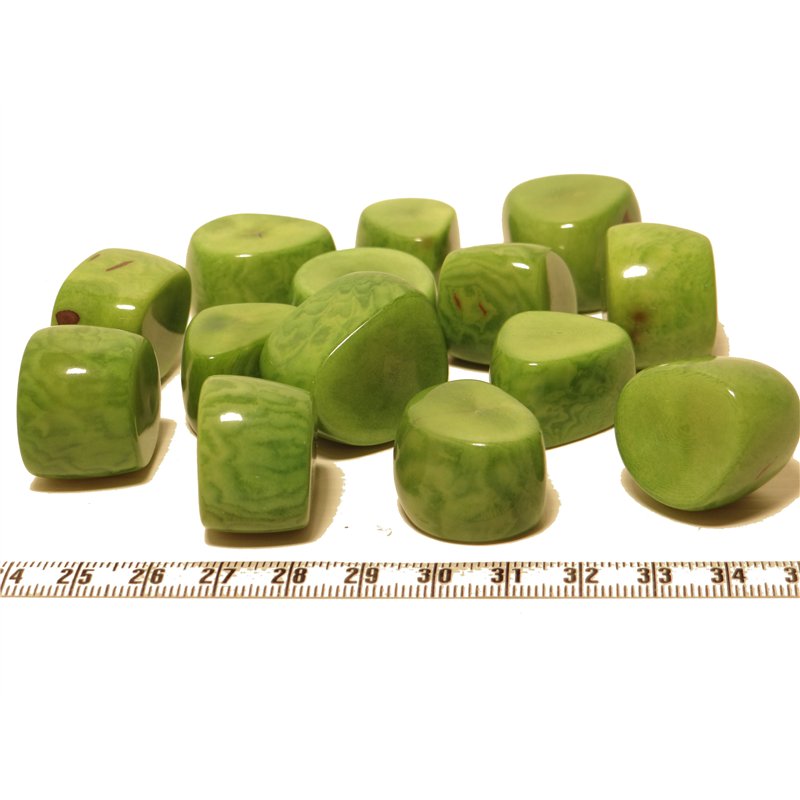 Tagua tronçon vert