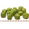 Tagua tronçon vert