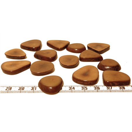 Tagua lame épaisse petite marron