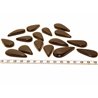 Tagua goutte noir