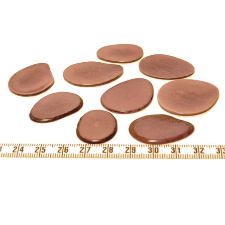 Tagua pétale grande violet