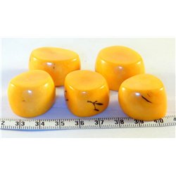 Tagua tronçon jaune