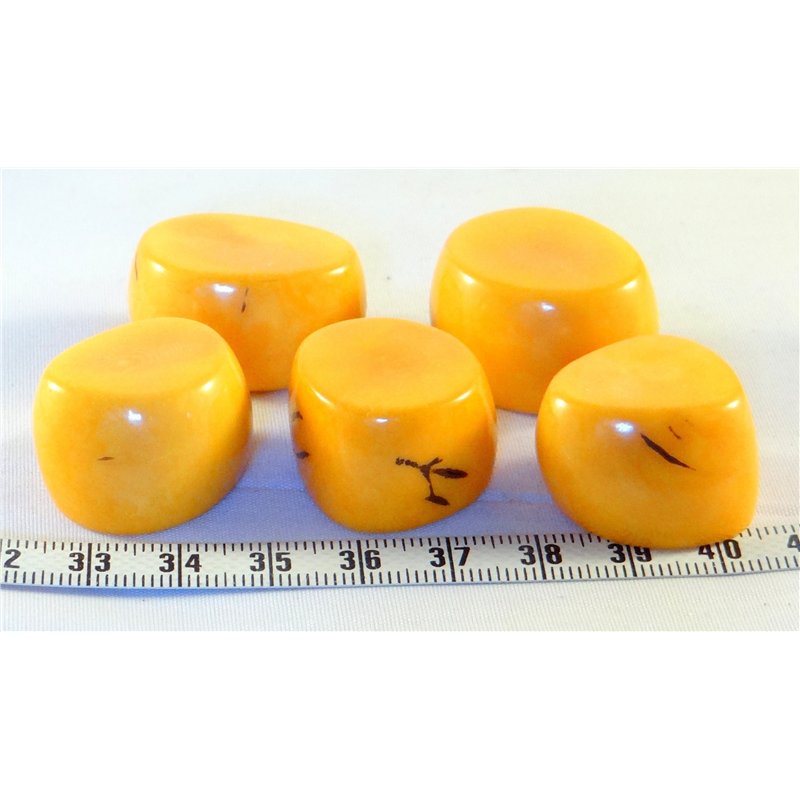Tagua tronçon jaune