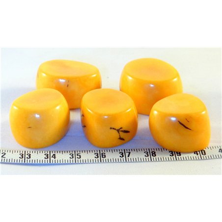 Tagua tronçon jaune