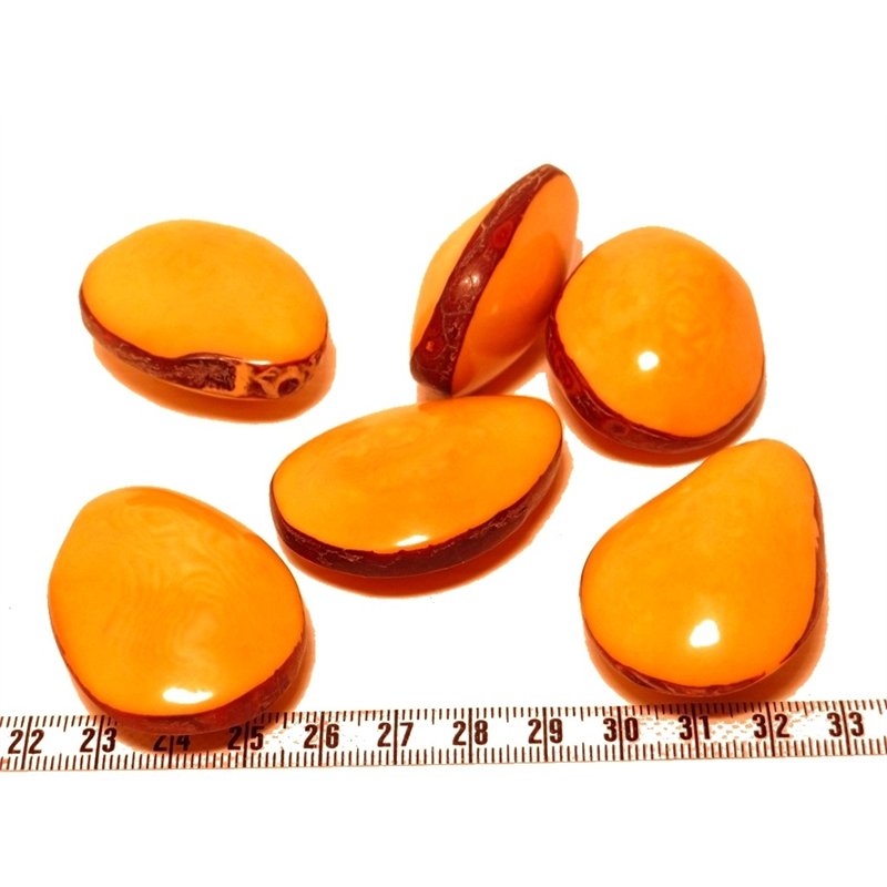 Tagua graine bombée orange
