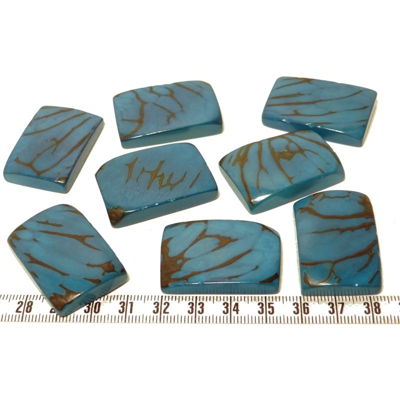 Tagua plaque  marbrée bleu