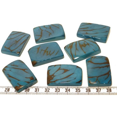 Tagua plaque  marbrée bleu