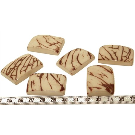 Tagua plaque  marbrée blanc