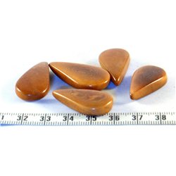 Tagua goutte marron