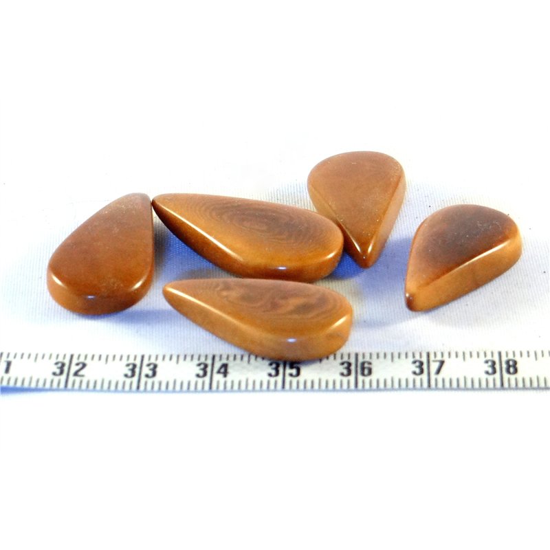 Tagua goutte marron