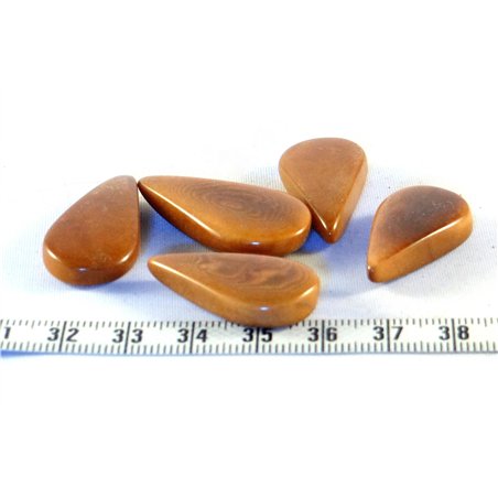 Tagua goutte marron