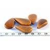 Tagua goutte marron