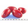 Tagua graine 3 cm rouge