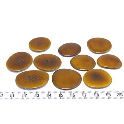 Tagua lame   moyenne marron