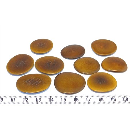 Tagua lame   moyenne marron