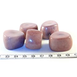 Tagua tronçon violet