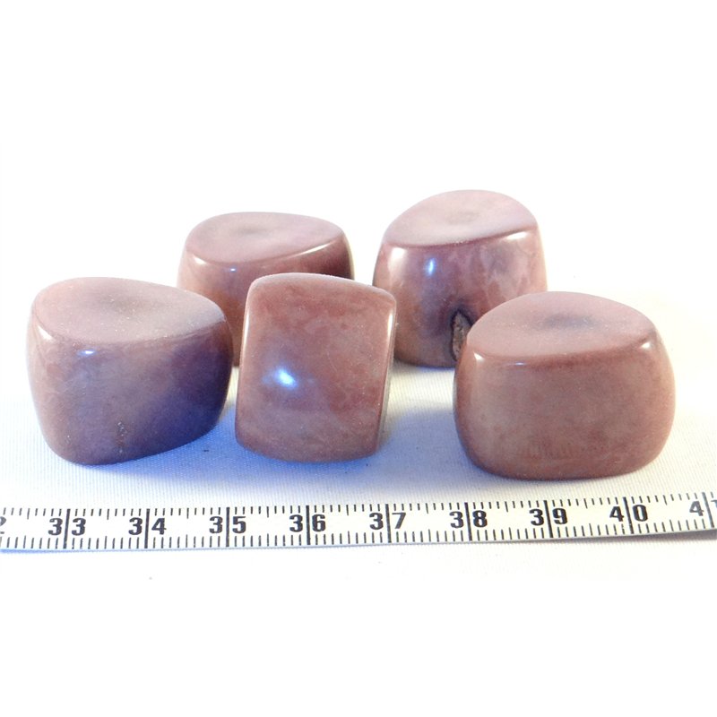 Tagua tronçon violet