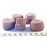 Tagua tronçon violet