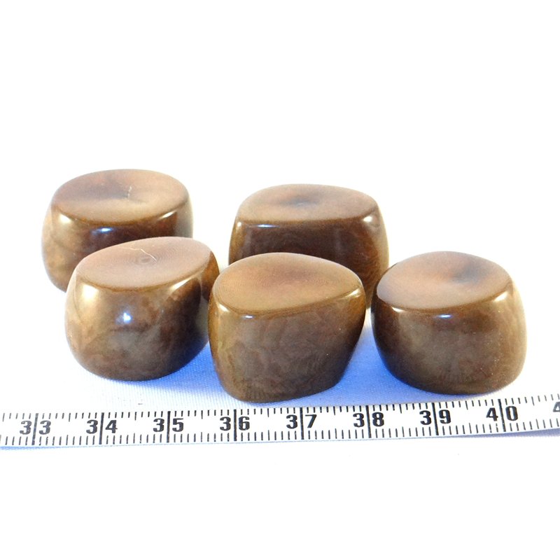 Tagua tronçon marron