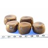 Tagua tronçon marron